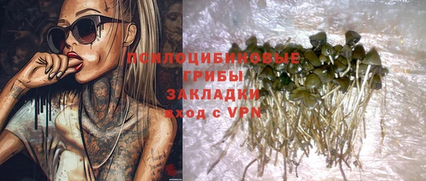 МДПВ Вязьма