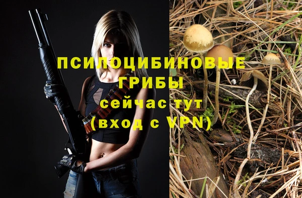 МДПВ Вязьма