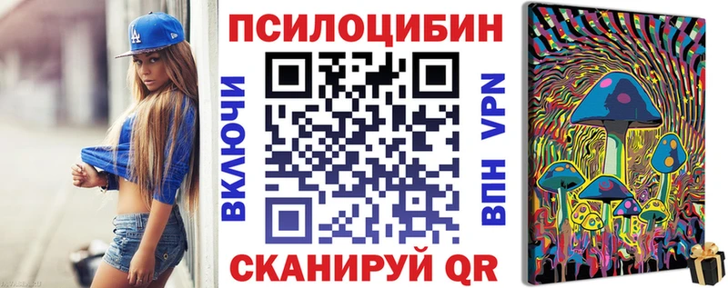 где продают   Звенигово  Псилоцибиновые грибы Cubensis 